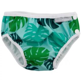 Imsevimse úszópelenka Monstera L