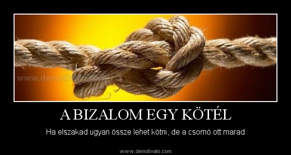 7 érv a Hordozótár Webshop mellett